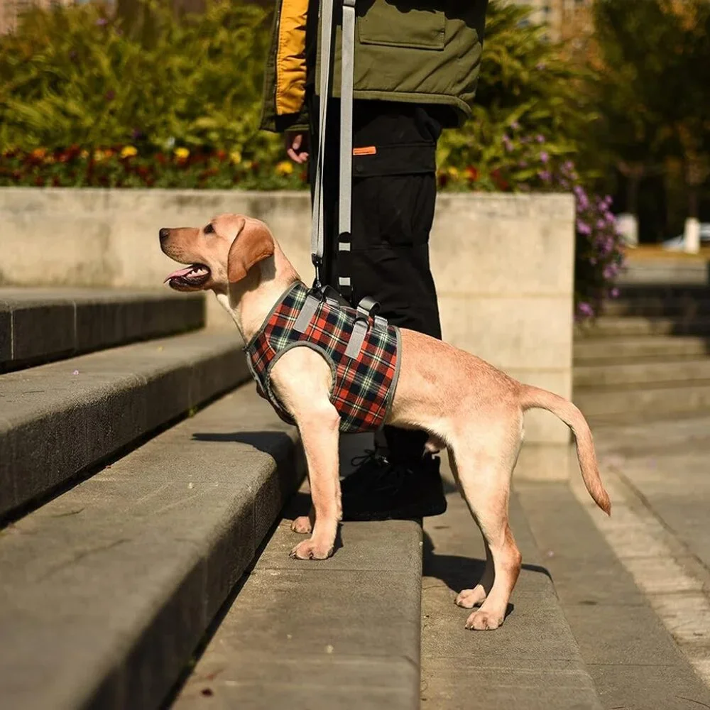 Dog Lift Harness, Grid Pet Chest Support Aid Veterinarian Approved